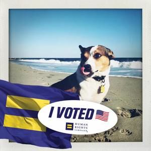 Meet your Posher, Kathryn